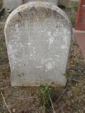 image of grave number 295464